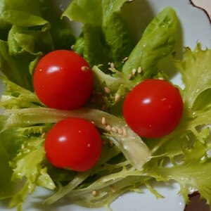 レタス&ミニトマトの胡麻サラダ